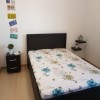 Cearceaf de pat cu elastic bumbac 100%,140x200cm, Floral Bleu