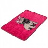 Covoras baie 40x60 cm, Alessia Home, Pink Pug DJT