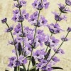 Covoras de baie rotund, Alessia Home, Lavanda