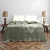 Cuvertura gofrata verde pampas din bumbac 100% Optimus 240x260 cm