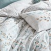 Lenjerie 1 persoana bumbac 100% ranforce, Cotton Box, Lendel Mint