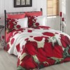Lenjerie de pat Isabella Red cu trandafiri roșii, 100% bumbac poplin, design elegant și romantic, 4 piese.