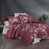 Lenjerie de pat First Choice Arya Rose bumbac satinat 220 TC cu trandafiri albi pe fundal bordo visiniu