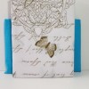 Lenjerie de pat dublu bumbac 100%, model floral elegant cu flori albastre și crem pe fundal alb, decorată cu texte romantice.