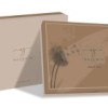 Lenjerie de pat model dungi roșii și bej pe fundal crem, pat dublu, din bumbac 100% natural, Nazenin Home Natural Red