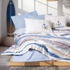 Set lenjerie pat 1 persoană Moreno Cotton Box din bumbac 100 % ranforce, imprimeu pescăruși pe fond crem, verso bleu denim
