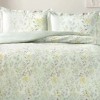 Lenjerie de pat 1 persoana TAC Casie din bumbac 100% satinat Mako-Satin cu model floral delicat