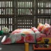 Lenjerie de pat din bumbac 100% satinat model Camelia cu design floral vibrant în nuanțe de roz, roșu, verde și galben.
