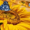 Lenjerie de pat dublu cu imprimeu 3D de floarea-soarelui și fluturi albaștri pe fundal galben și auriu. Lenjerii de pat 1+1 gratis.
