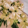 Lenjerie de pat dublu cu imprimeu 3D de flori albe delicate pe fundal alb. Lenjerii de pat 1+1 gratis.