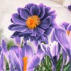 Lenjerie de pat dublu cu design de grădină de flori violet. Lenjerii de pat 1+1 gratis.