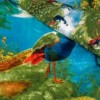 Lenjerie de pat dublu cu imprimeu 3D de păuni într-un peisaj natural luxuriant, înconjurat de vegetație verde și ciuperci. Lenjerii de pat 1+1 gratis.