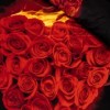 Oferta 1+1gratis: Lenjerie de pat 3D digital print, Ralex Pucioasa, Trandafiri rosii