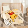 Patura bebelusi Tac 100x120cm, Disney Winnie the Pooh