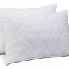 Set 2 perne Economy matlasate 50x70cm