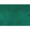 Set 2 prosoape 70x140cm bumbac 100%, BHPC, 403 Green