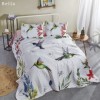 Set 3 piese cuvertura 240x260cm + 2 fete perna 50x70cm, bumbac 100%,Club Cotton, Bella