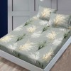 Set husa finet pampas bej/verde 160x200 cu 2 fete de perna, fixare perfecta