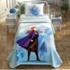Set pique lenjerie și cuvertură Disney pentru 1 persoană cu Elsa din filmul Frozen 2, în culori alb, albastru deschis și mov, cu desene animate detaliate și elemente grafice.