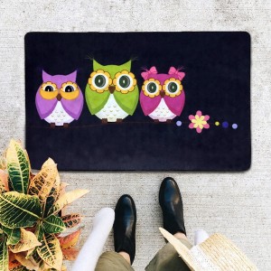 Covoras intrare pvc, 40x60cm, Three Owls