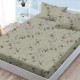 Set husă finet 160x200 cm cu elastic și 2 fețe de pernă, model flori vintage și fluturi pe fond crem