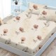 Set husă finet 160x200 cm cu elastic și 2 fețe de pernă, model flori vintage și fluturi pe fond crem