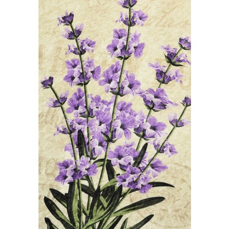 Covoras de baie rotund, Alessia Home, Lavanda