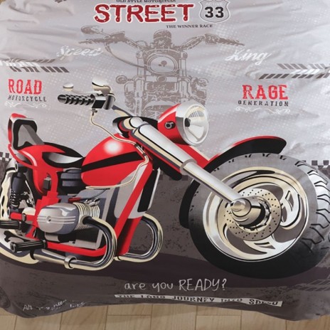 Lenjerie pat 1 persoana Street King bumbac ranforce, model cu motocicleta pentru copii