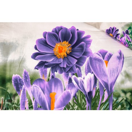Lenjerie de pat dublu cu design de grădină de flori violet. Lenjerii de pat 1+1 gratis.