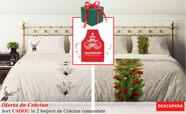 promo craciun